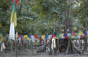 Palden Dorje In Grove-1